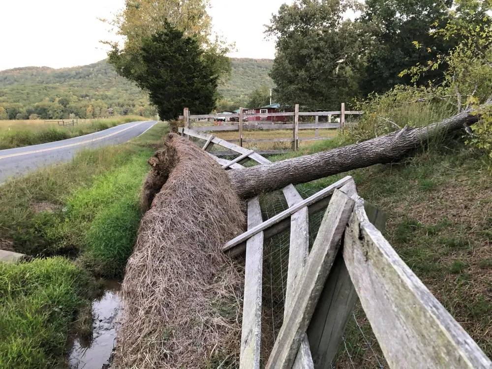 Local outdoor landscaping experts serving Dalton, GA - Field Global Enterprises