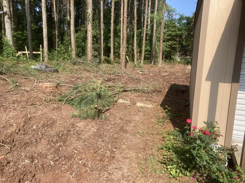 Top-rated residential landscaping near you across Dalton, GA - Field Global Enterprises