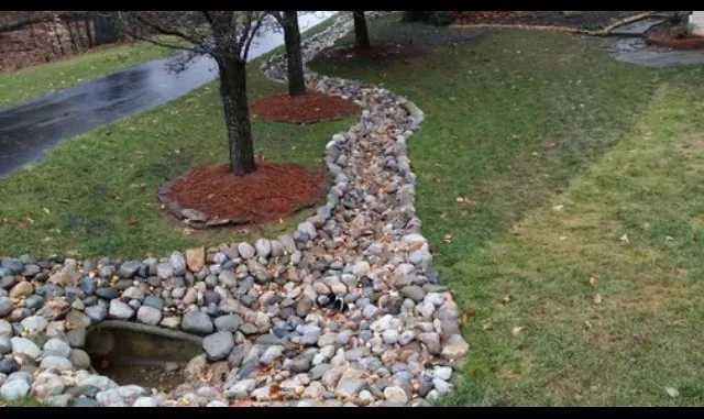 Local yard cleanup service for year-round maintenance across Dalton, GA - Field Global Enterprises