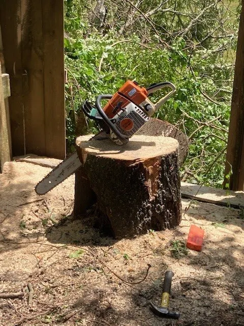 Professional yard maintenance near you across Dalton, GA - Field Global Enterprises