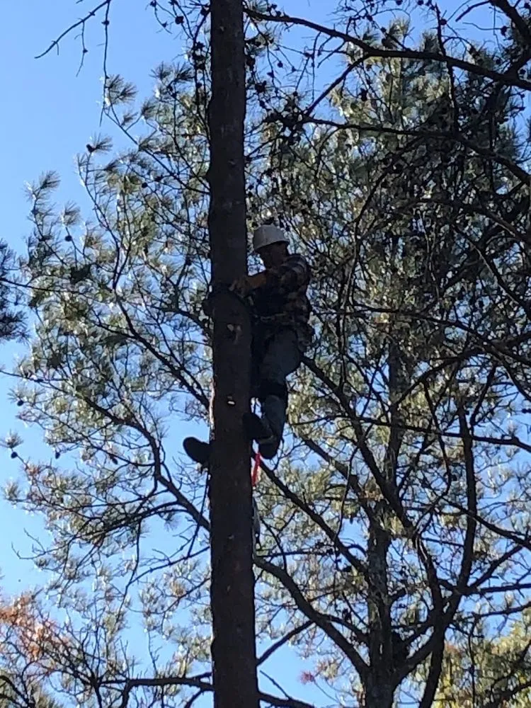 Expert landscape installation experts serving Dalton, GA - Field Global Enterprises