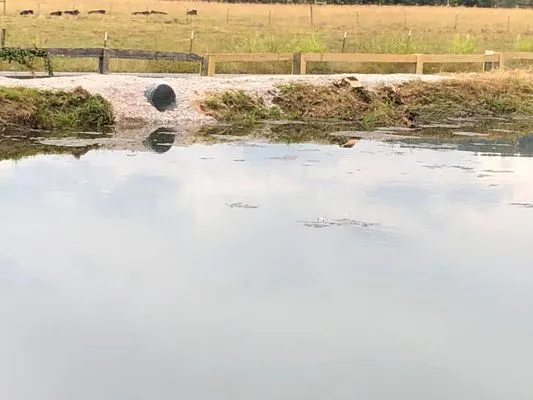 Field Global Enterprises