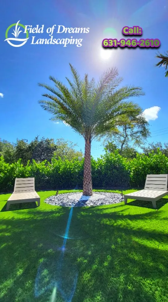 Affordable lawn care service near you in Hollywood, FL by Field of Dreams Landscape