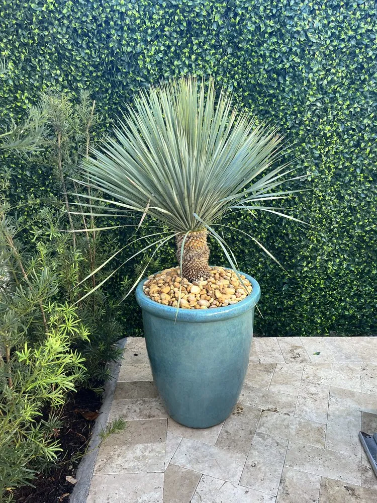 Affordable landscape installation in Hollywood, FL by Field of Dreams Landscape