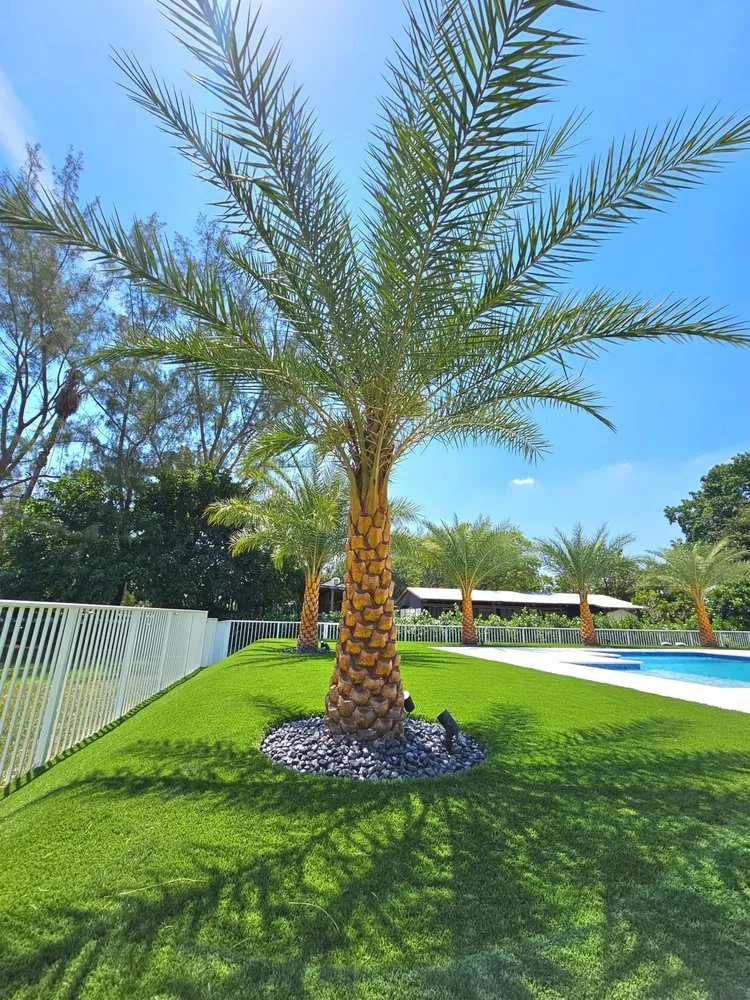 Local garden landscaping in Hollywood, FL by Field of Dreams Landscape