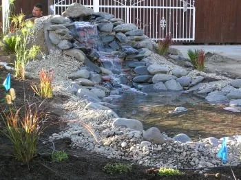 Expert yard cleanup service with custom design in Santa Clara, CA by Field of Dreams Landscaping and Concrete
