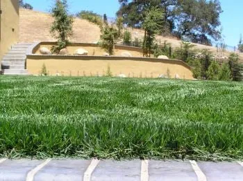 Trusted residential landscaping for residential properties in Santa Clara, CA by Field of Dreams Landscaping and Concrete