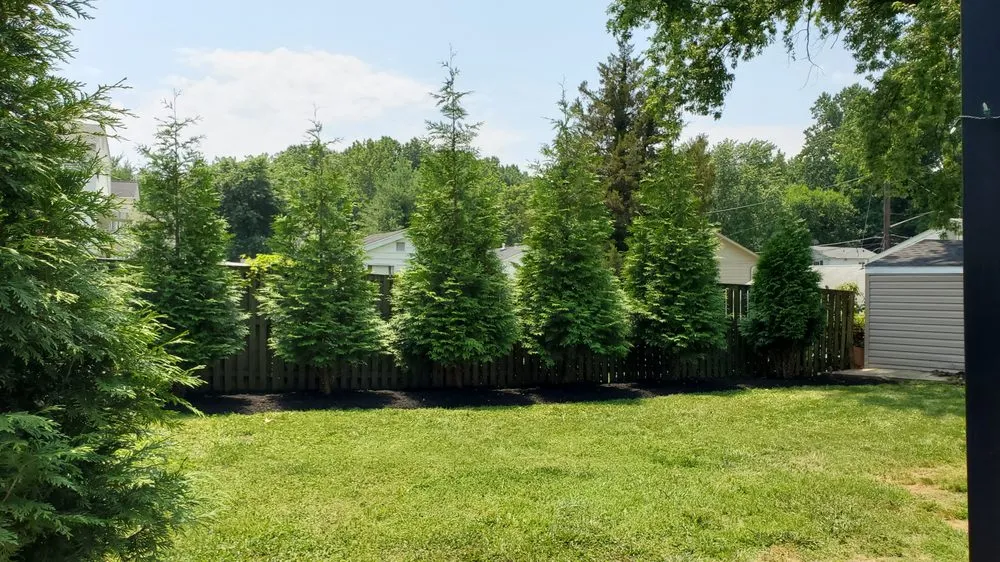 Affordable residential landscaping in Oxon Hill, MD - Field of Dreams Landscaping