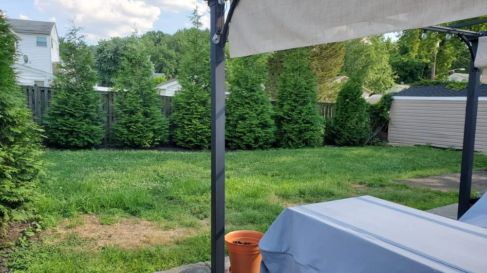 Local yard cleanup service for outdoor upgrades in Oxon Hill, MD by Field of Dreams Landscaping