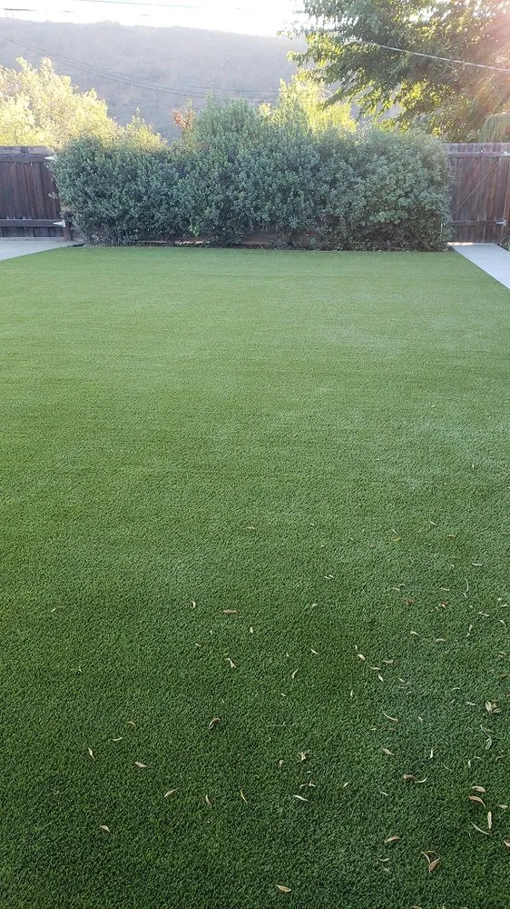 Professional outdoor landscaping in Tracy, CA by Field of Green Grass Solutions