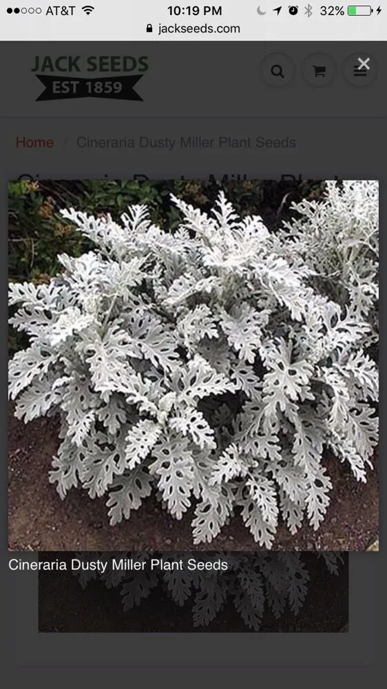 Local yard cleanup service for homes in Caddo Mills, TX by Field of Greens