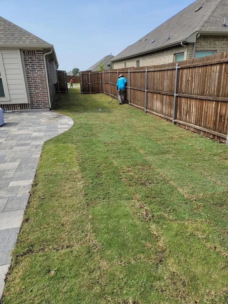 Local lawn care service for beautiful yards across Caddo Mills, TX - Field of Greens