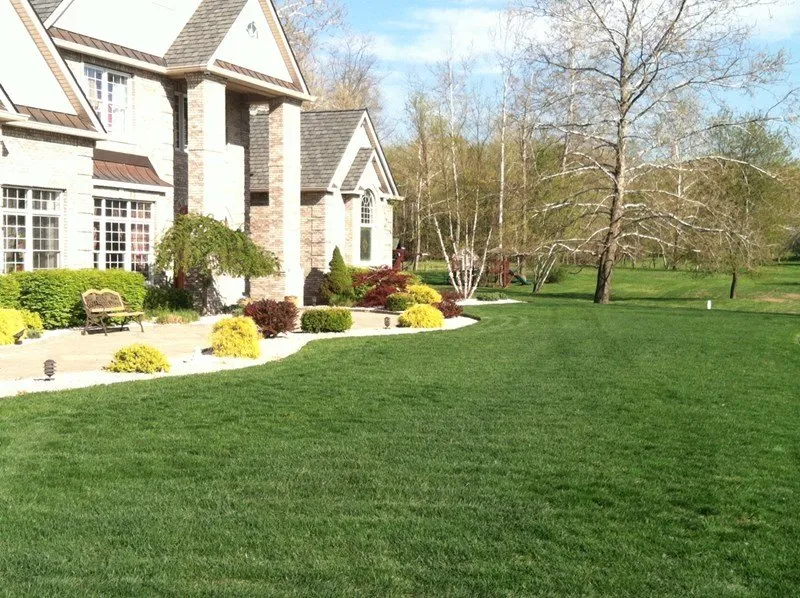 Professional yard cleanup service in Gloverville, SC - Field Services