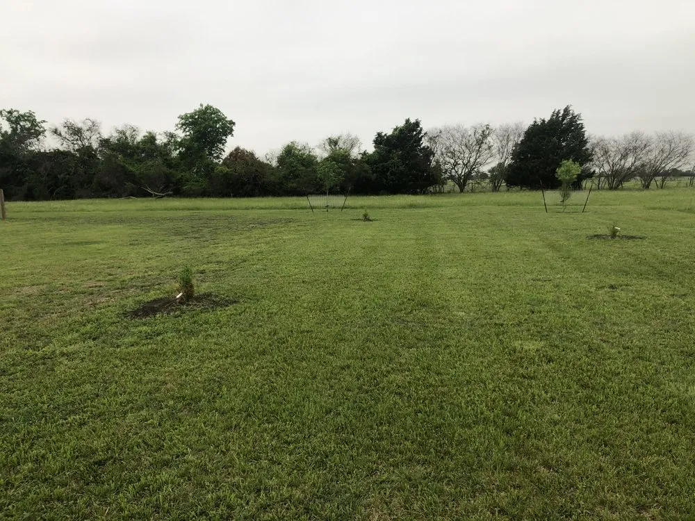 Expert landscape design near you across Brenham, TX - Fielding’s Lawn Care