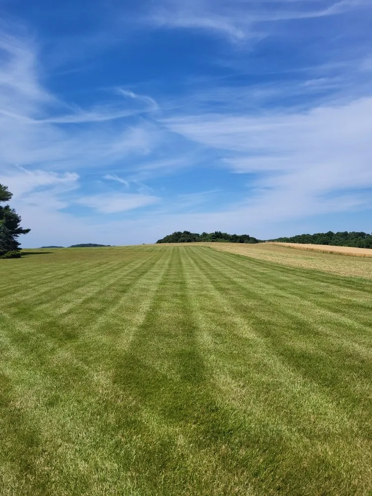 Custom yard cleanup service with custom design across Hampstead, MD - Fields & Mercer's Lawncare