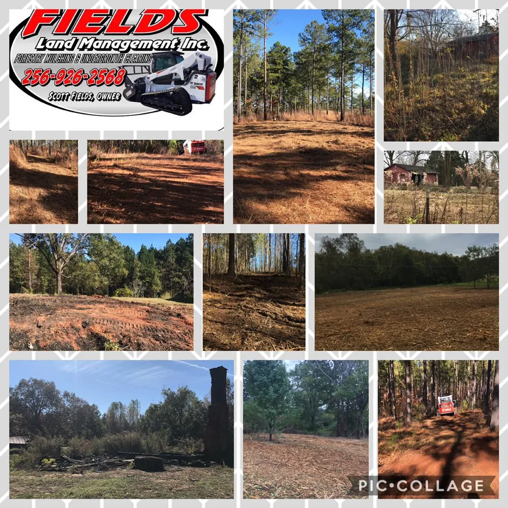 Professional garden landscaping in Heflin, AL - Fields Land Mangement