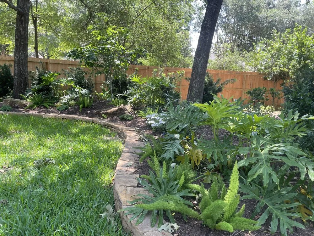 Top-rated yard cleanup service experts serving Magnolia, TX - Field's Landscaping and Irrigation