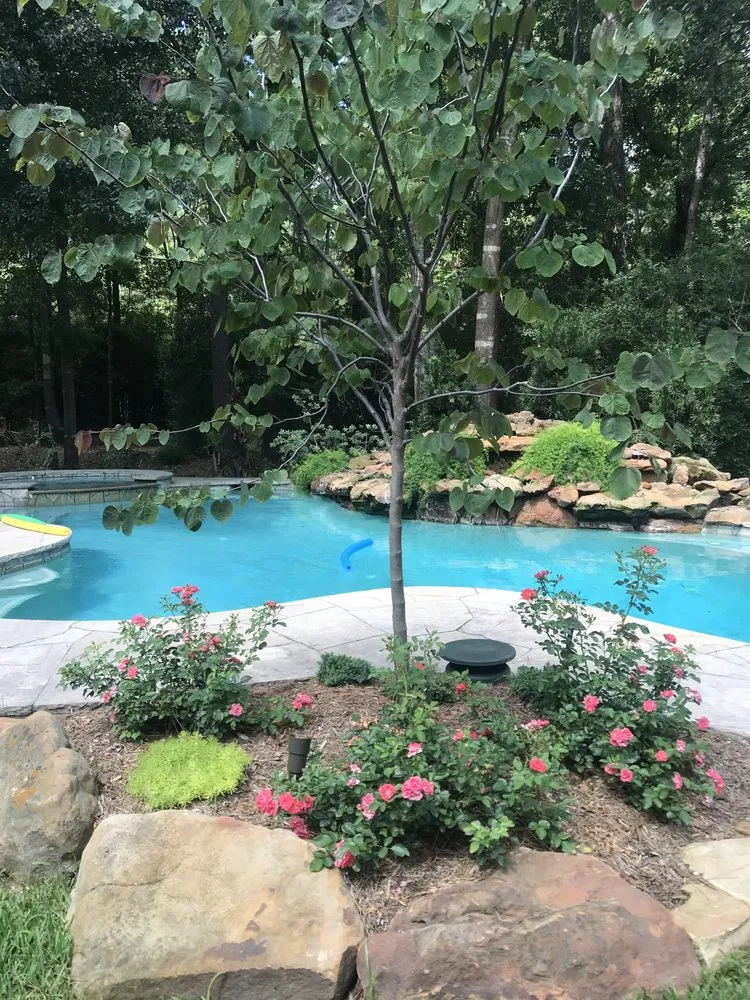 Affordable landscape design for year-round maintenance across Magnolia, TX - Field's Landscaping and Irrigation