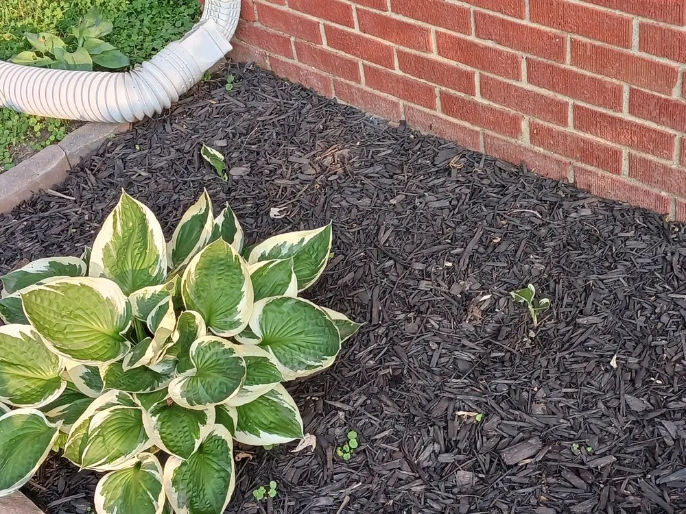 Custom garden landscaping near you across Hope, IN - Fields Landscaping