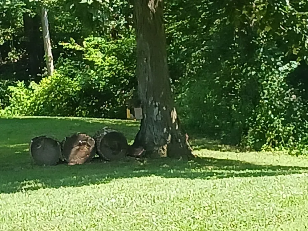 Affordable landscaping services for year-round maintenance across Hope, IN - Fields Landscaping