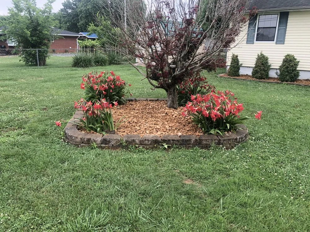 Trusted residential landscaping for beautiful yards across Sevierville, TN - Fields Landscaping Services