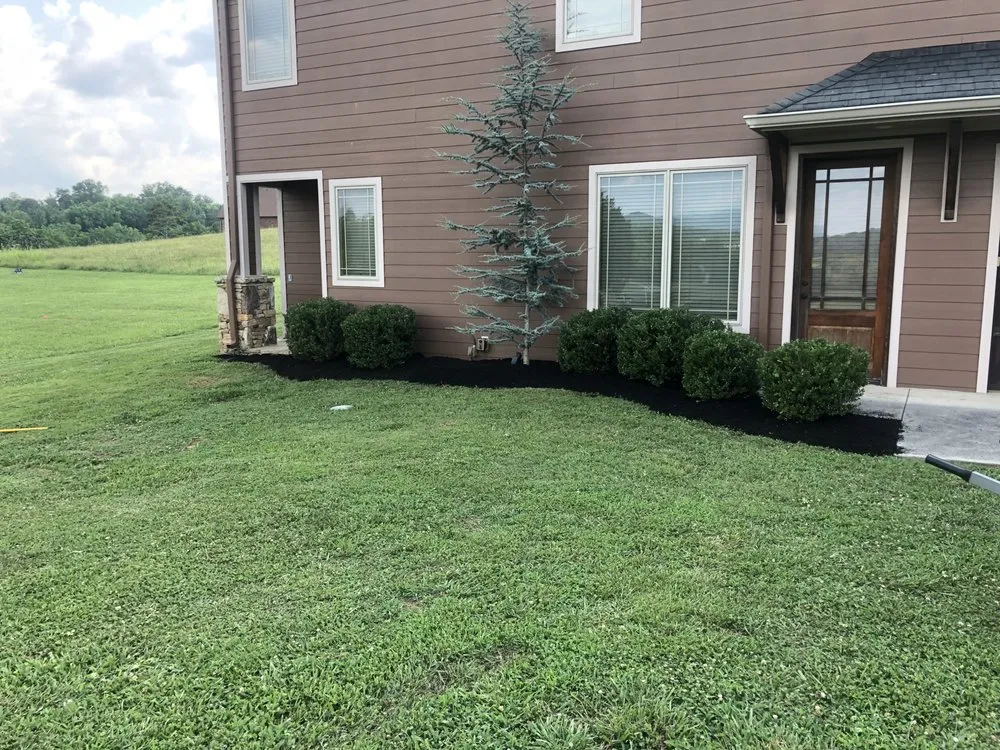 Expert yard cleanup service in Sevierville, TN by Fields Landscaping Services