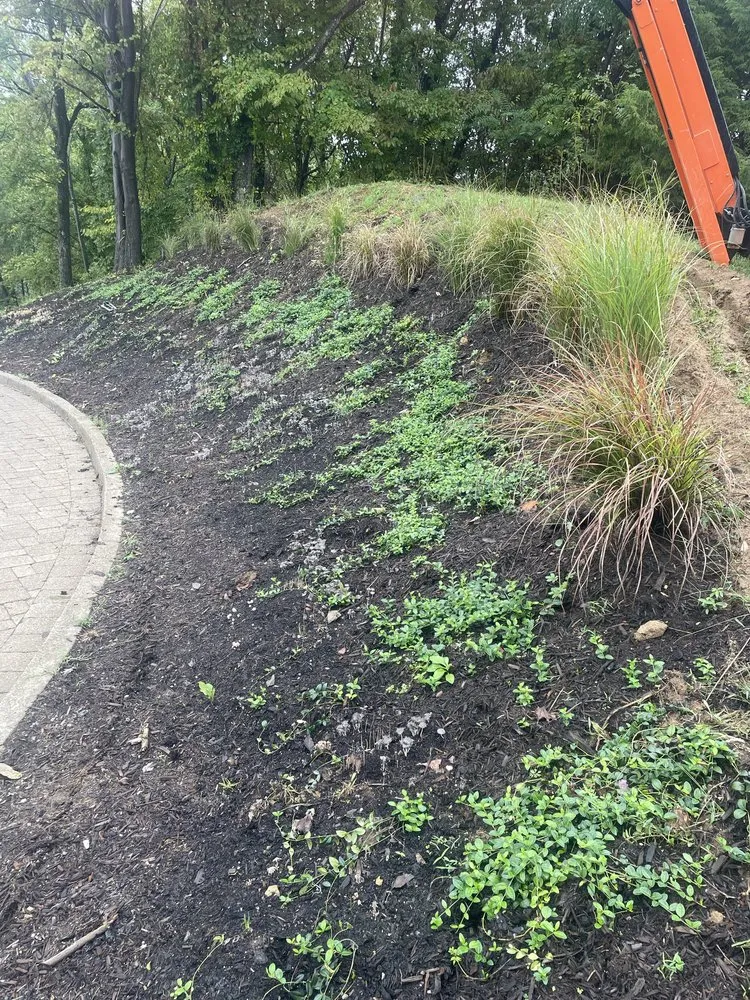 Custom landscape installation for year-round maintenance in Elkview, WV by Fields Lawn and Landscape