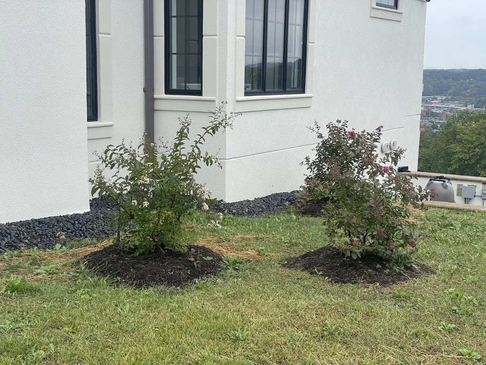 Reliable lawn mowing service for year-round maintenance across Elkview, WV - Fields Lawn and Landscape