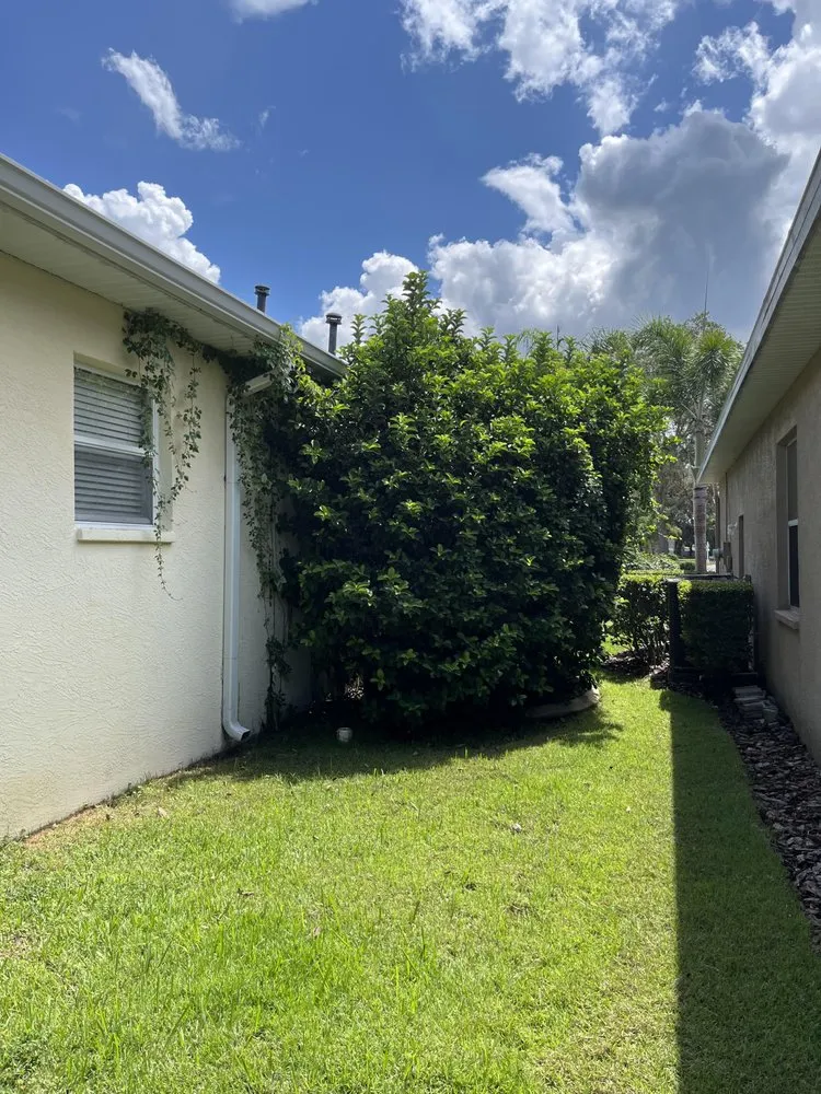 Expert yard cleanup service in Bradenton, FL - Fields of Gold Landscaping