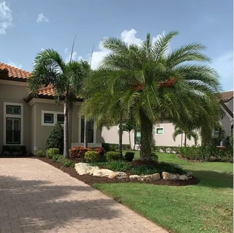Local landscape installation in Bradenton, FL - Fields of Gold Landscaping