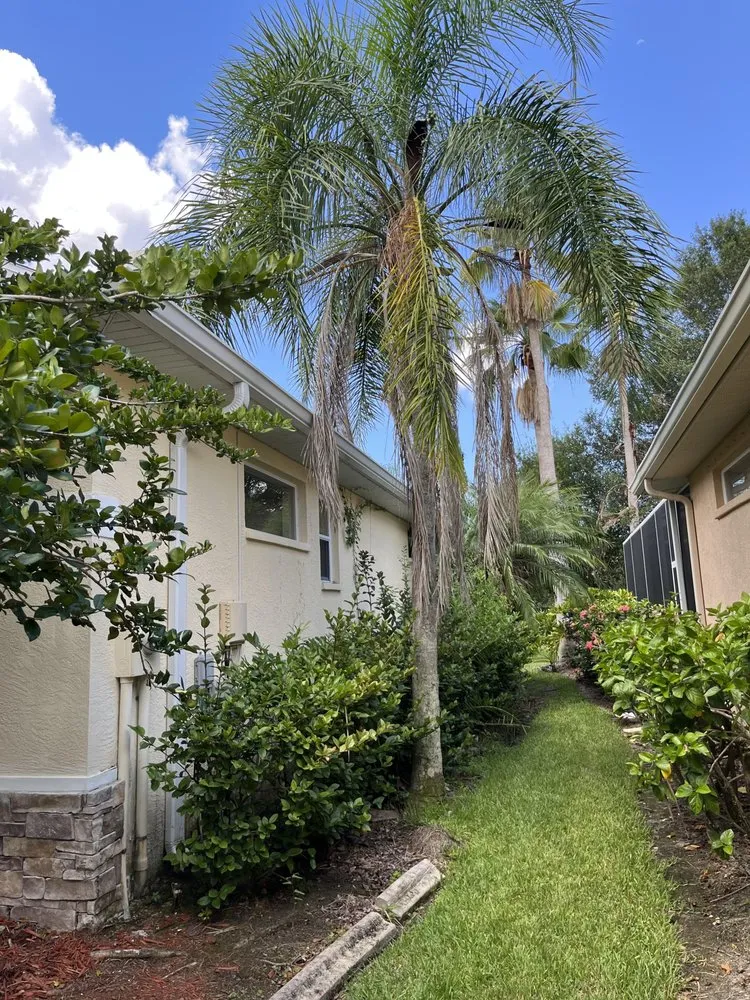 Local landscape installation for homes across Bradenton, FL - Fields of Gold Landscaping