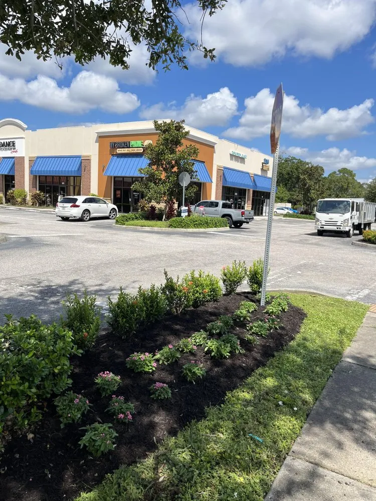 Local landscape installation in Bradenton, FL by Fields of Gold Landscaping