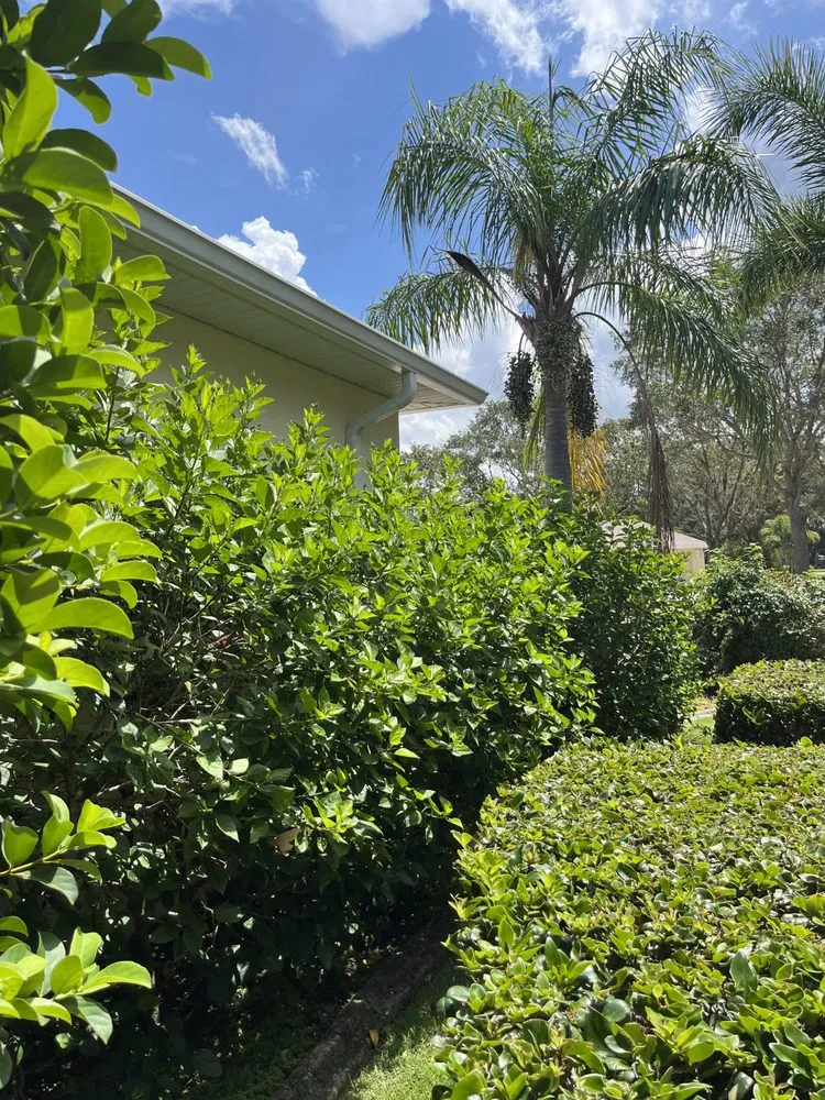 Local yard cleanup service experts serving Bradenton, FL - Fields of Gold Landscaping