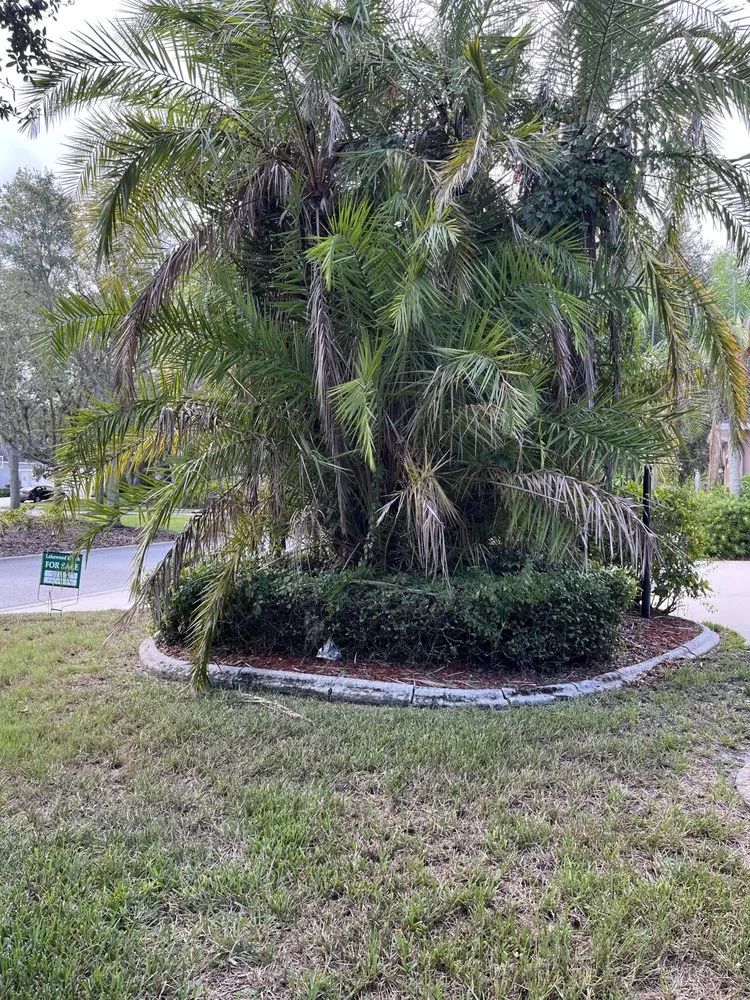 Trusted landscape design near you across Bradenton, FL - Fields of Gold Landscaping