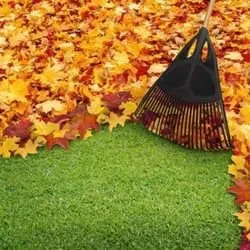 Local landscaping services for residential properties in Colorado Springs, CO by Fields of Green Mowing