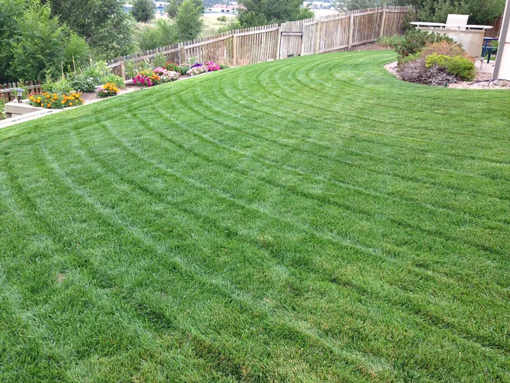Affordable landscape design in Colorado Springs, CO by Fields of Green Mowing