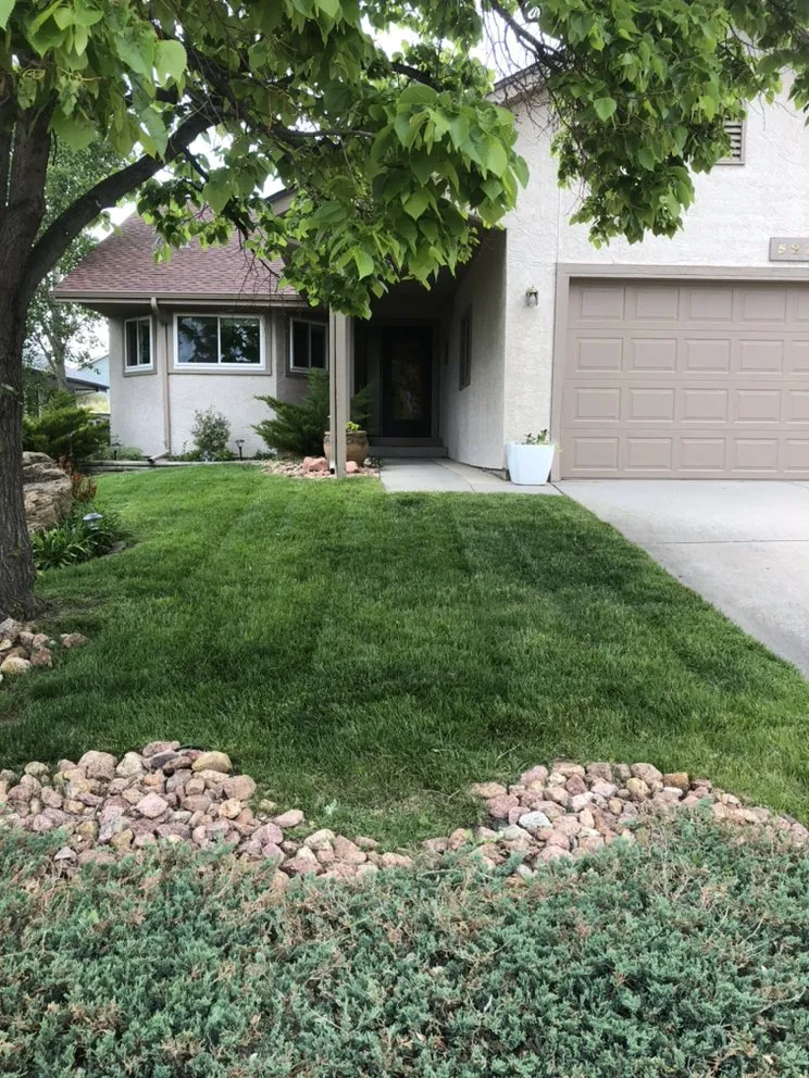 Top-rated lawn care service experts serving Colorado Springs, CO - Fields of Green Mowing