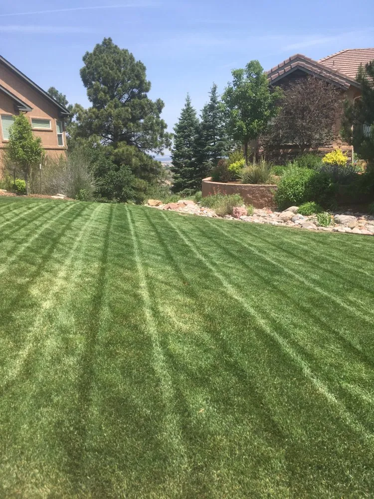 Custom lawn care service for beautiful yards in Colorado Springs, CO by Fields of Green Mowing