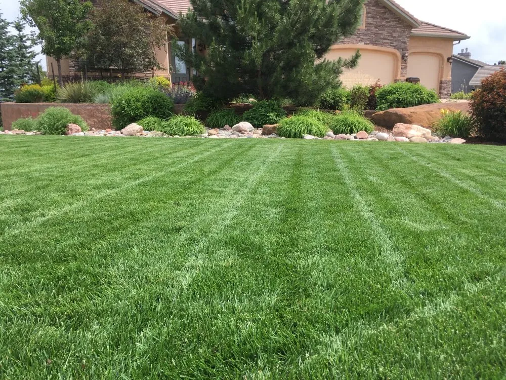 Custom yard maintenance for residential properties in Colorado Springs, CO by Fields of Green Mowing