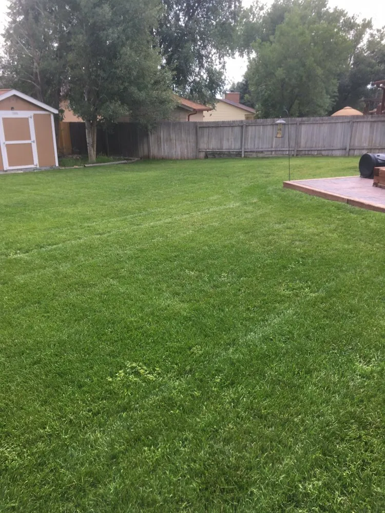 Top-rated residential landscaping in Colorado Springs, CO by Fields of Green Mowing