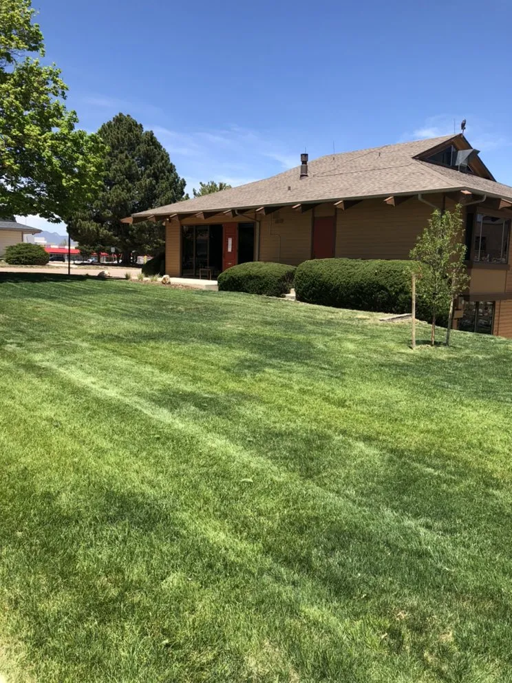 Expert landscape design for outdoor upgrades across Colorado Springs, CO - Fields of Green Mowing