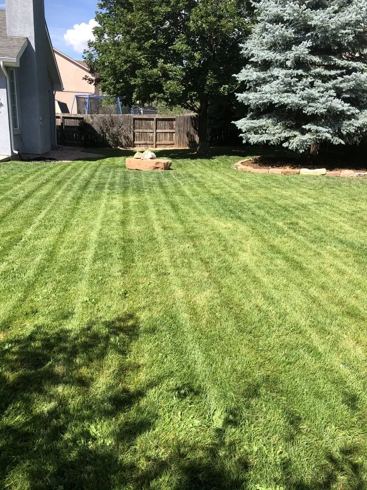 Local lawn mowing service for year-round maintenance in Colorado Springs, CO by Fields of Green Mowing