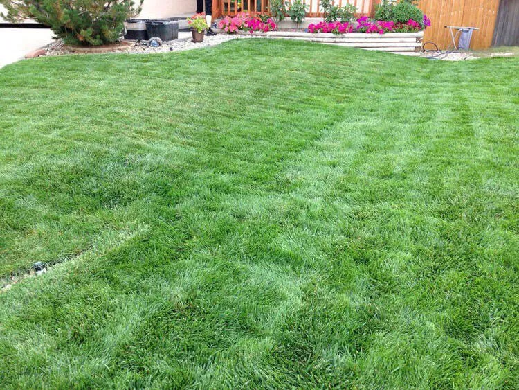 Expert landscape installation in Colorado Springs, CO by Fields of Green Mowing