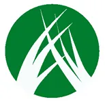 Affordable yard maintenance in Sugar Hill, GA by Fields of Green