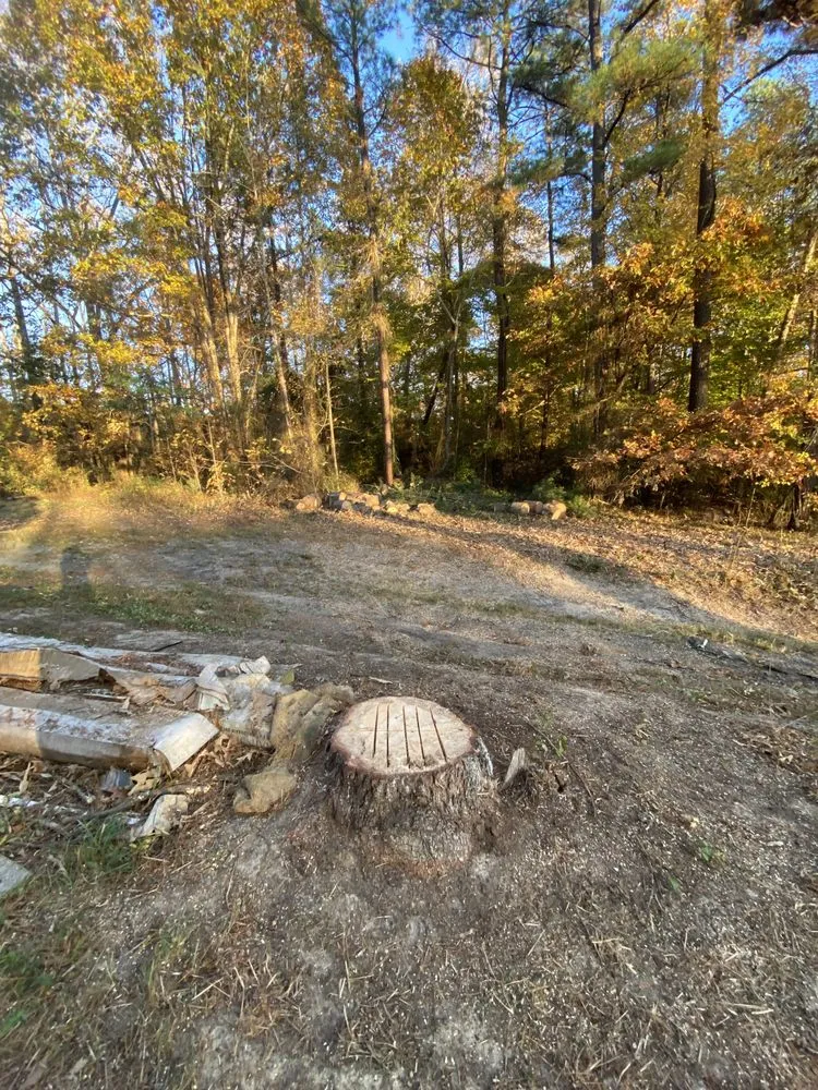 Expert landscape installation for homes across Fredericksburg, VA - Field’s Services