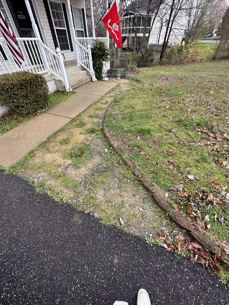 Custom yard cleanup service experts serving Fredericksburg, VA - Field’s Services