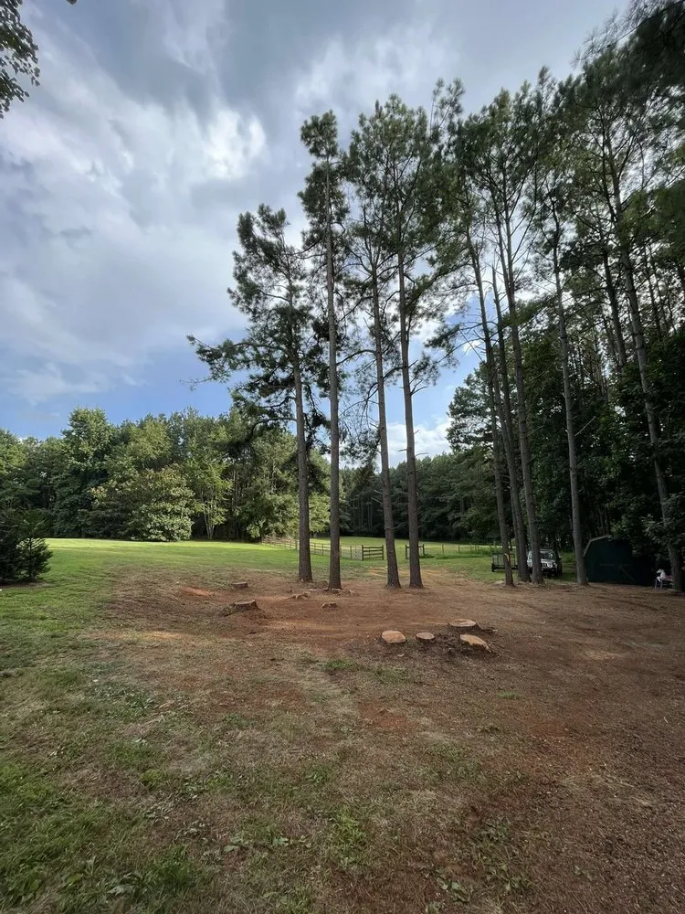 Trusted lawn care service experts serving Fredericksburg, VA - Field’s Services