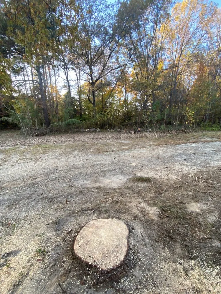 Reliable landscape installation in Fredericksburg, VA - Field’s Services