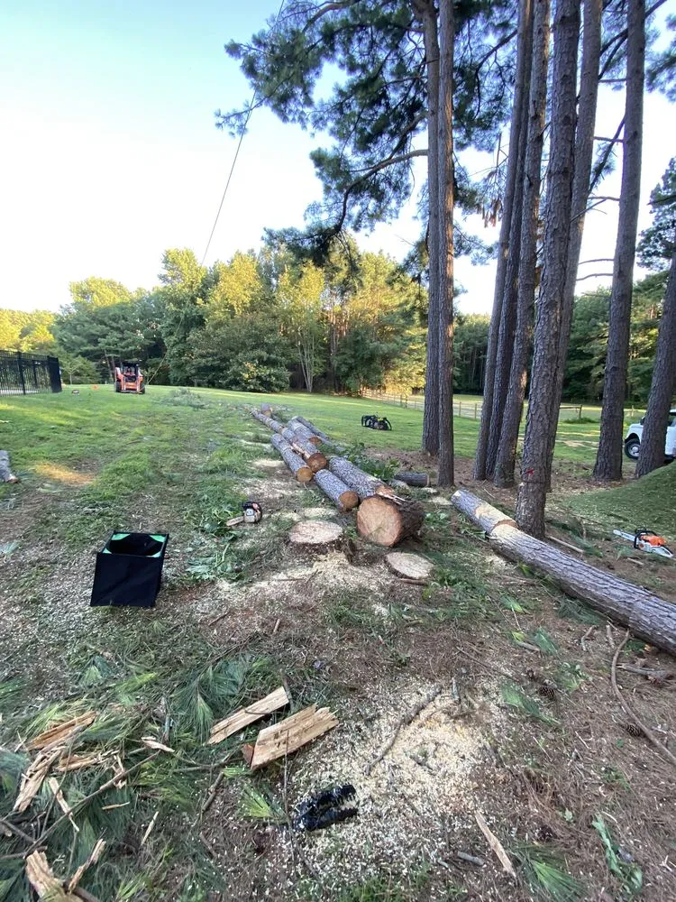 Professional landscaping services in Fredericksburg, VA by Field’s Services