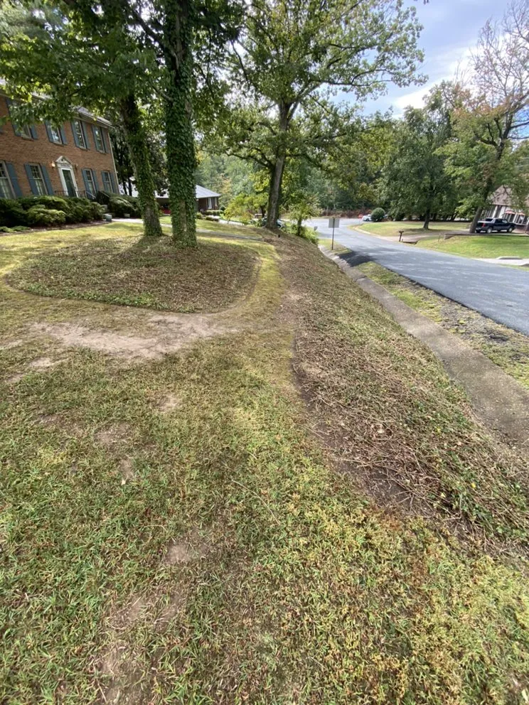 Professional residential landscaping experts serving Fredericksburg, VA - Field’s Services